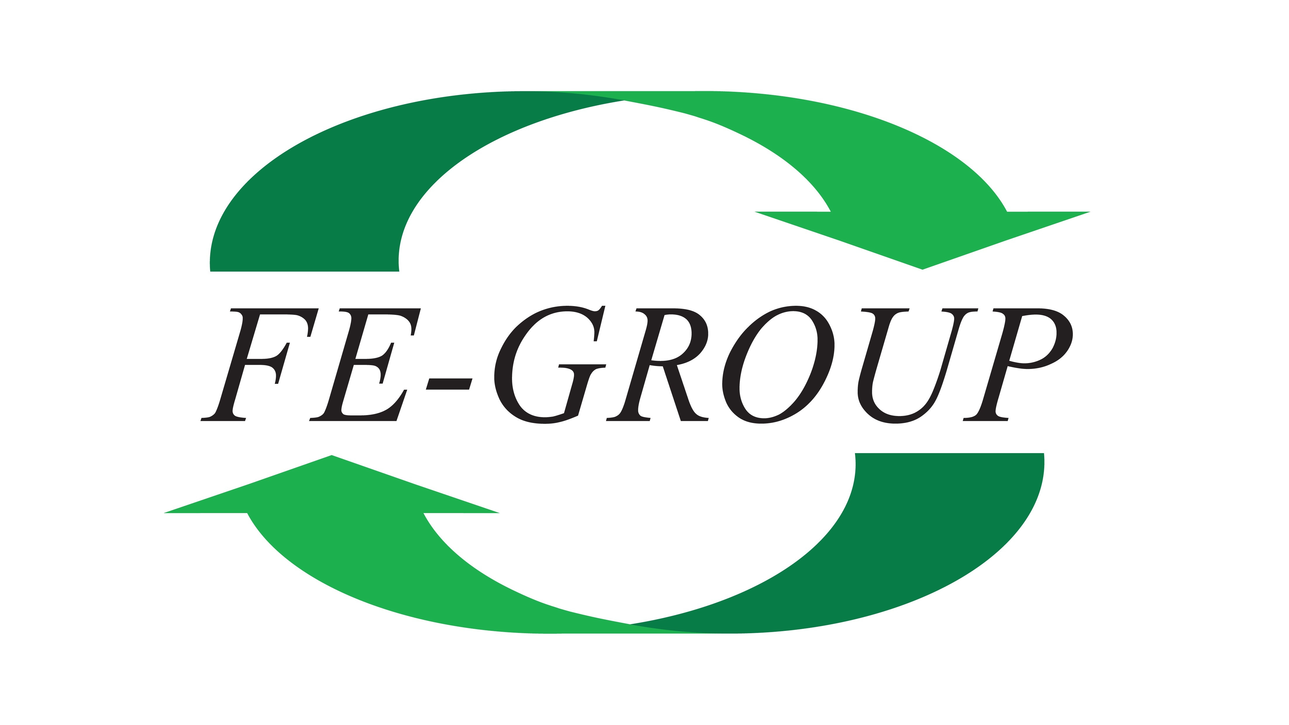 FE-Group